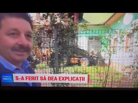 sa ferit sa dea explicati primarul podeni noi