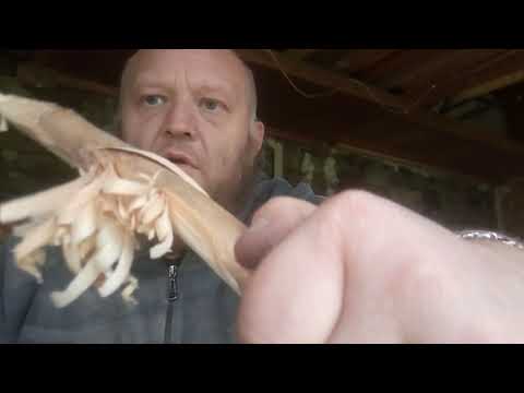 Wolfgangs Hunter und Wanger WOC II Unboxing und First Impressions.