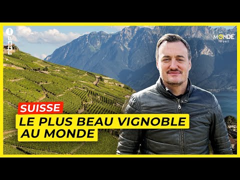 Le plus beau vignoble au monde se trouve en Suisse - Un Monde à part