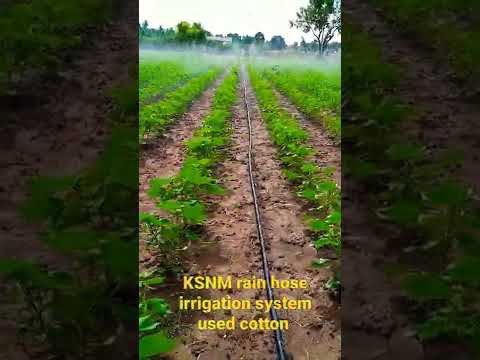 RH-1065 Rain Hose