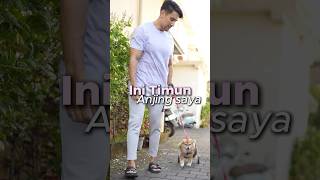 Download lagu I WANT TO BUY A DOG BECAUSE IT'S CUTE❓YOU NEED TO KNOW THIS‼️ mp3
