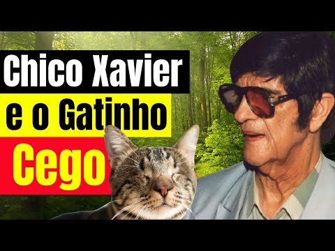 CHICO XAVIER E O GATO CEGO | Chico Xavier e os Animais