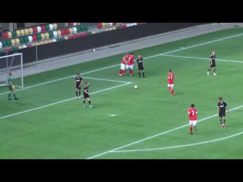 U17: Se målene fra sejren mod Vejle