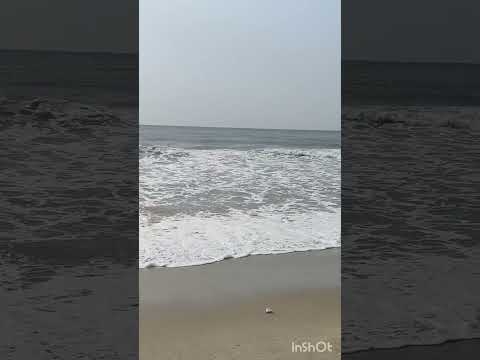 Morning 🌄 beach vibes ⛱️ #marinabeach #chennai #sunrise #shorts