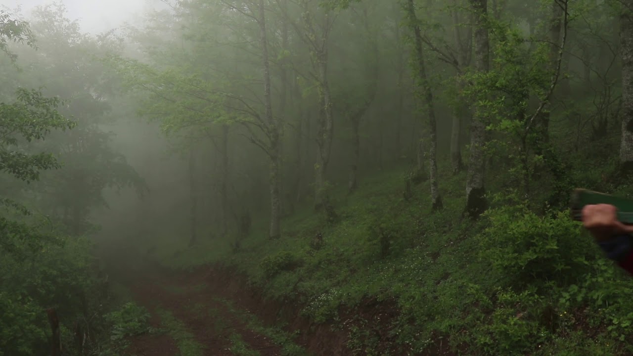 Reza Golchin - Umbrella 2021