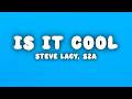 Steve Lacy Is It Cool Lyrics Ft SZA
