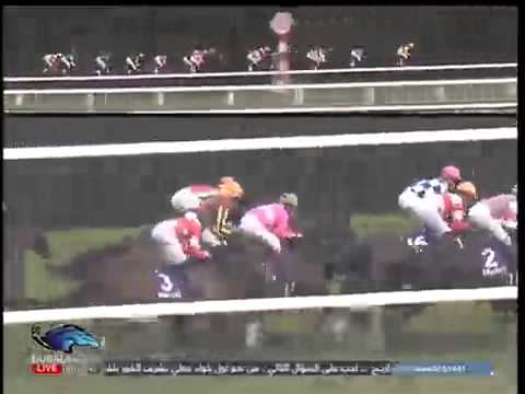 2013.11.17 Mile Championship - Tosen Ra