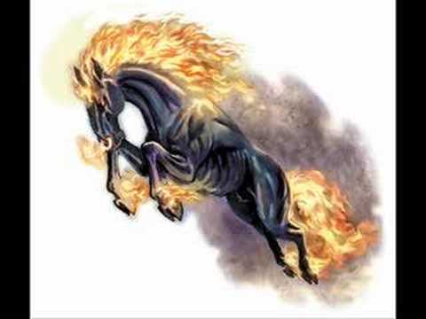 Rotes Pferd - Malorca hits