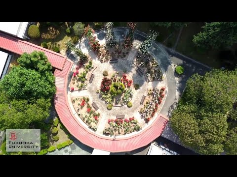 看護学科 福岡大学 バラ園（イングリッシュガーデン）