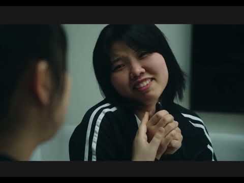 비디오 5