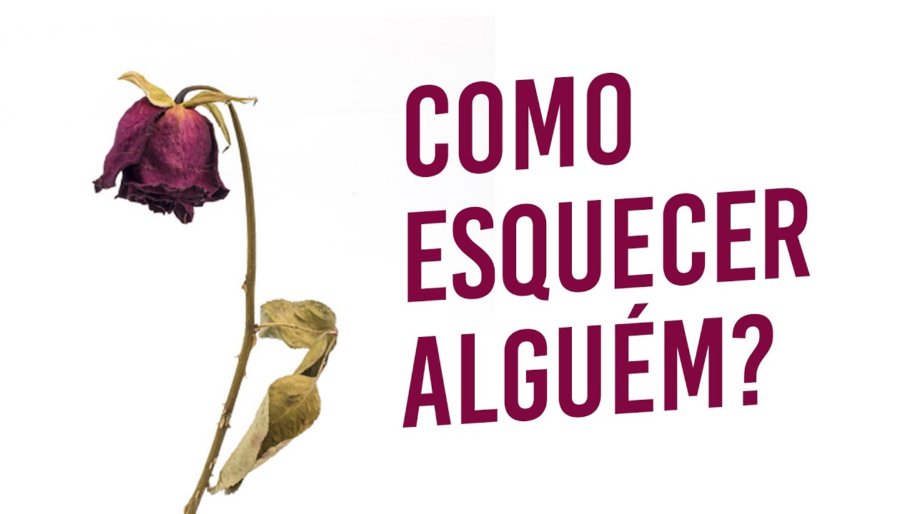 Sobre amores que não deram certo: como lidar? | #CaféComLudo 2