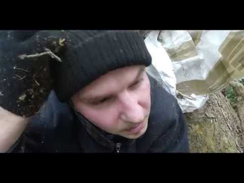 PACTUM - Zbuduj dom w sobie