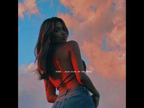 8IRD, ANYS - Dark Side Of The Moon ( S L O W E D + R E V E R B )