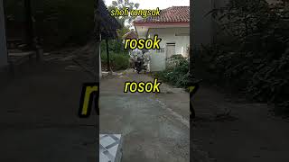 Download lagu Rosok || Rongsokan #rongsok #shorts mp3