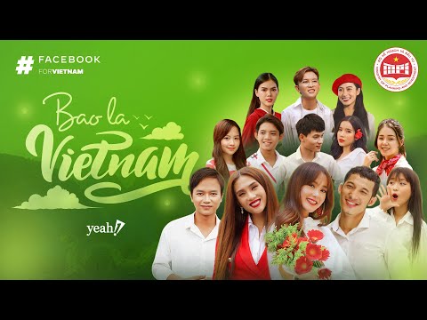 Bao la Việt Nam - Nhiều nghệ sĩ