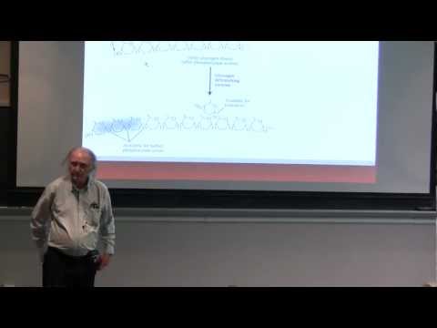 Kevin Ahern's BB 350 Review Session Exam 4