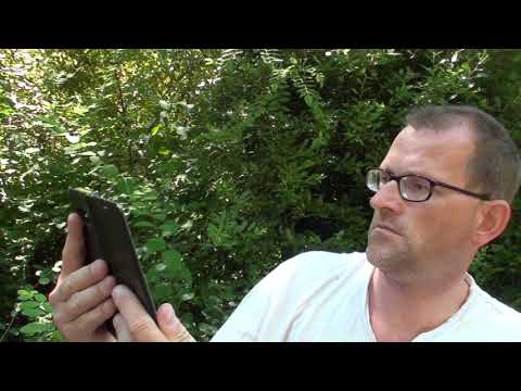 Jensis Welt Spezial, Quassel Video Freitag 18.6.2021,Teil 2 bissel gequassel mit Überraschung