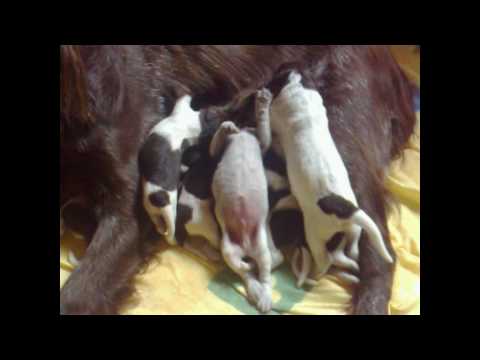 YouTube Preview Image