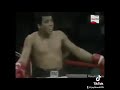 Muhammad Ali Edit He Is The Damn Tiger Boxing Muhammadali