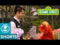 Sesame Street Murray Learns About Birds Murray Had A Little Lamb