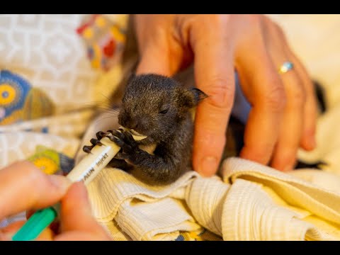 Pomozte nám zlepšit podmínky pro zvířata v nouzi