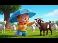 Rain Rain Go Away More Nursery Rhymes Kids Songs Cartoon Nick