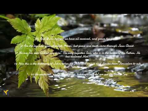 Daily Bible Verses(English)|John 1:1-25