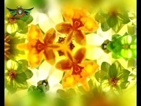 08.  KARAOKE ICH TROJE - ZAWSZE Z TOBĄ CHCIAŁBYM BYĆ