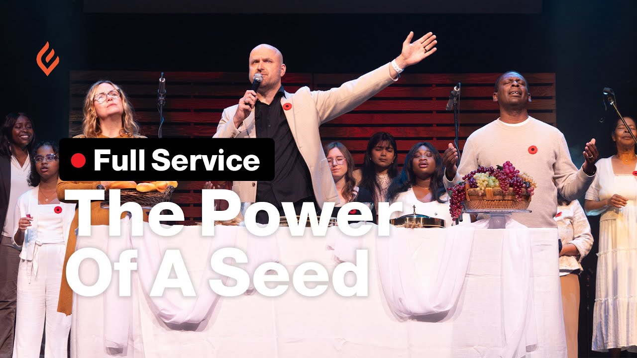 The Power Of A Seed