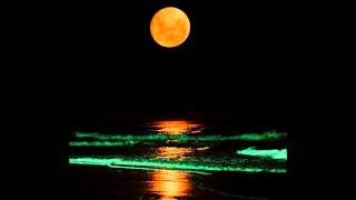 KENNY VANCE & THE PLANOTONES -  Please Say You Want Me