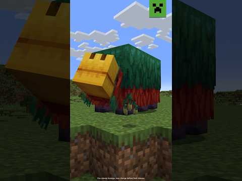 SNIFFING UP NEW SEEDS - ASK MOJANG