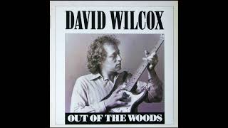 David Wilcox   Bad Apple on HQ Vinyl with Lyrcs in Description
