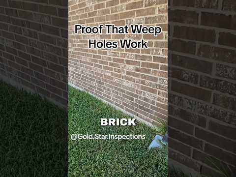 Proof That Weep Holes Work #thataintright