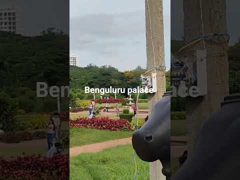 benguluru palace