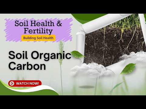 Soil Organic Carbon: Key to Soil Health and Sustainability | Spring Scientific