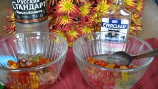 Vodka vs Everclear, the Gummy Bear Disaster! Vodka Soaked Gummies Recipe