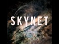 Skynet - Break Stuff (Limp Bizkit Cover) 