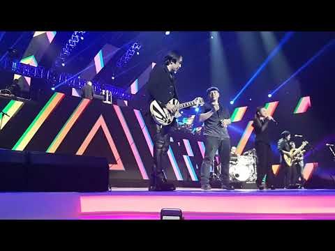 Padi feat rosa 11 2017