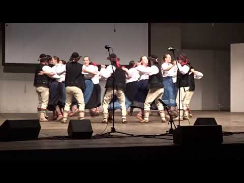 Pořad: ZE ŽIVOTA STROMŮ - hrají goralské kapely z Těšínského Slezska, č.3 / MFF Strážnice 2019