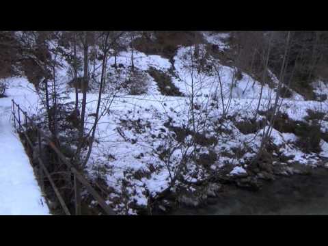 Gadera Longega - 192-6 - Brunicofly ASD