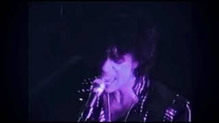 Prince - &quot;Electric Intercourse&quot; (live First Avenue 1983) Best Quality Sound **HQ**