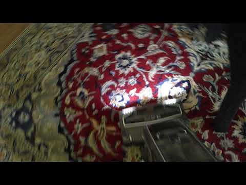 Shark Apex Whole House Cleaning