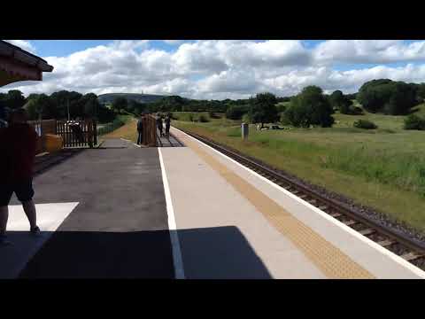 Class 40 Green BR Livery