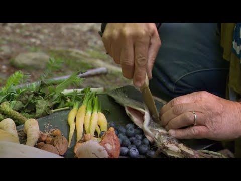La forêt dans l'assiette