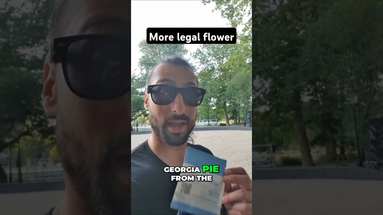 Amsterdam Genetics With Another TOP Shelf