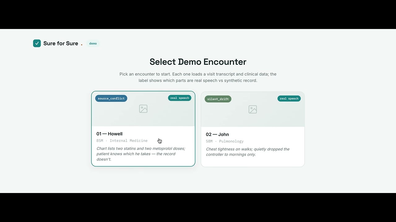 sure for sure project preview