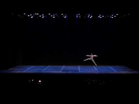 João vitor Melo santana