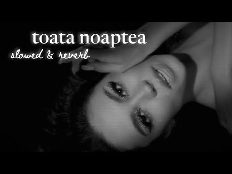 JUNO X MIRA - Toata noaptea (slowed + reverb)