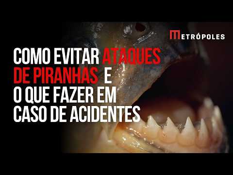 Bombeiros alertam para casos de ataque de piranha em Corumbá, Goiás