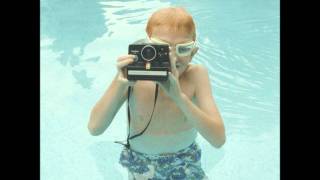 Where Cedar Nouns and Adverbs Walk - The Most Serene Republic